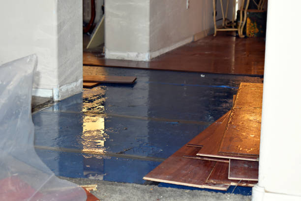 Professional Water Damage Restoration technician working in Rainier, OR