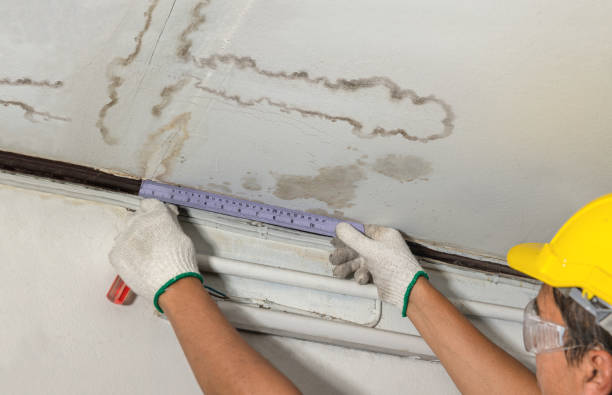 Reliable Water Damage Restoration contractor in Rainier, OR by Water Damage Irwin